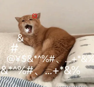 猫咪脏话输出