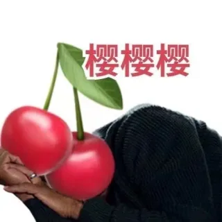 樱樱樱