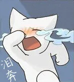 泪奔