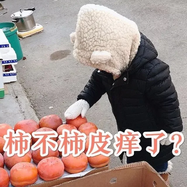 柿不柿皮痒了