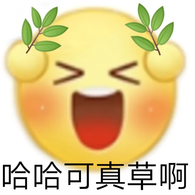 哈哈可真草啊