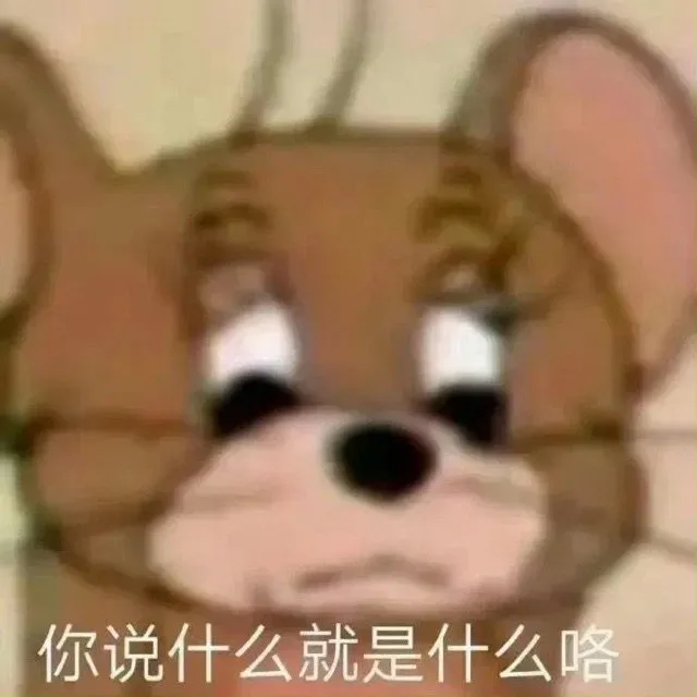 你说什么就是什么咯（你说什么就是什么咯）