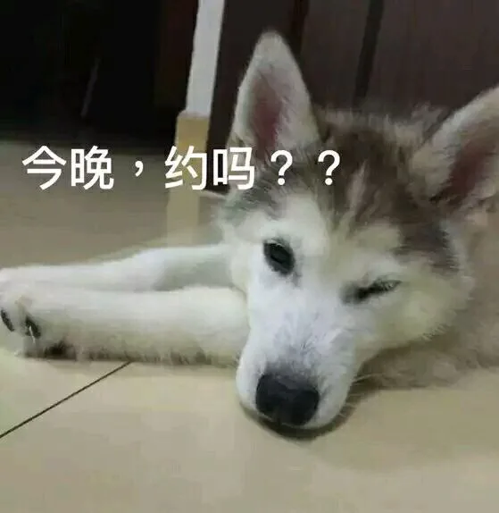 各种dog表情_狗狗_汪星人_装逼_好玩表情包