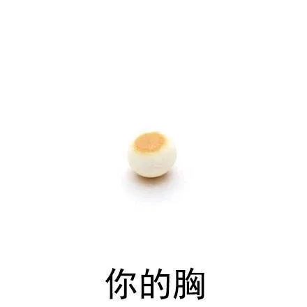 你的胸（你的胸）