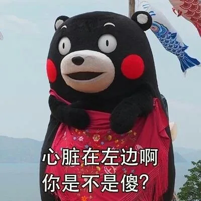 心脏在左边啊 你是不是傻？（心脏在左边啊 你是不是傻？）