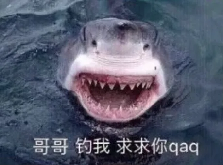 哥哥 钓我 求求你 QAQ