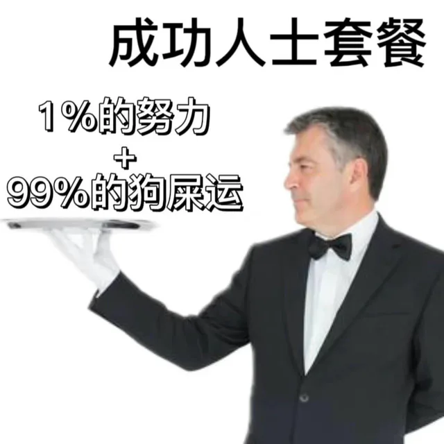 成功人士套餐1%的努力99%的狗屎运（成功人士套餐1%的努力99%的狗屎运）