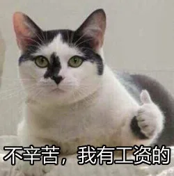 不辛苦。我有工资的（不辛苦。我有工资的）