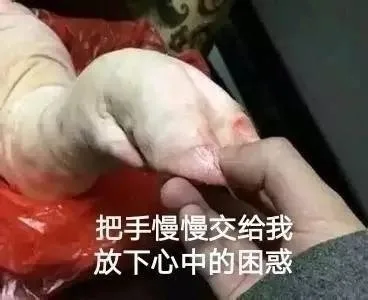 把手慢慢交给我放下心中的困惑（把手慢慢交给我放下心中的困惑）