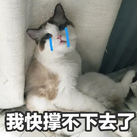 我快撑不下去了（我快撑不下去了）