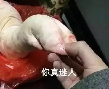 你真迷人（你真迷人）