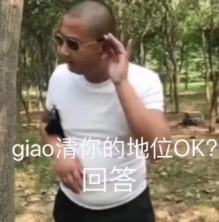 giao 清你的地位 OK？回答（giao哥表情包）