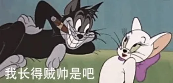 我长得贼帅是吧（我长得贼帅是吧）