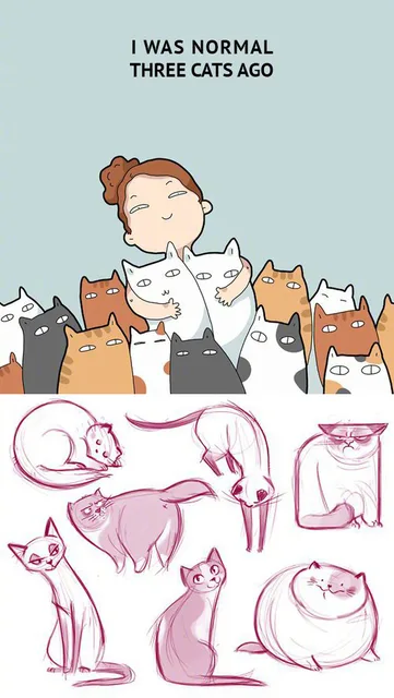 手绘猫咪（手绘猫咪）