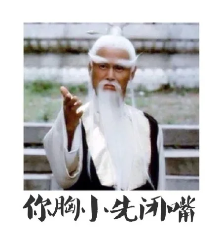 你胸小先闭嘴（你胸小先闭嘴）