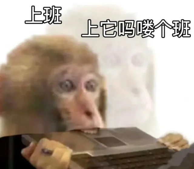 上班上它吗喽个班(吗喽表情包)（上班上它吗喽个班(吗喽表情包)）