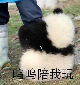 呜呜陪我玩