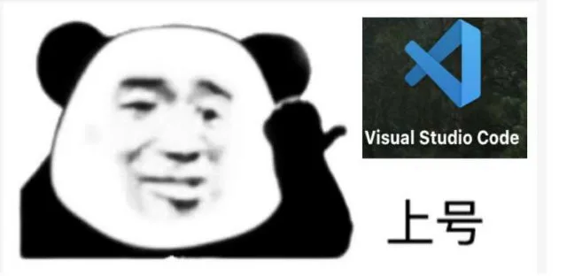 Visual Studio Code上号(码农表情包)（Visual Studio Code上号(码农表情包)）