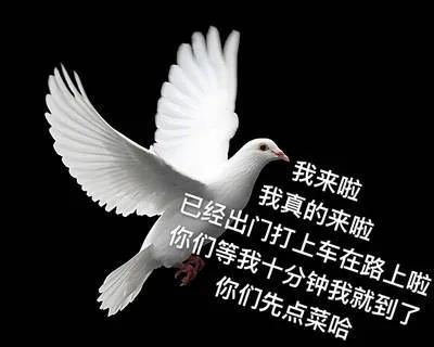 我来啦我真的来啦已经出门打上车在路上啦你们等我十分钟我就到了你们先点菜哈