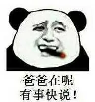 爸爸在呢？有事快说！（爸爸在呢？有事快说！）