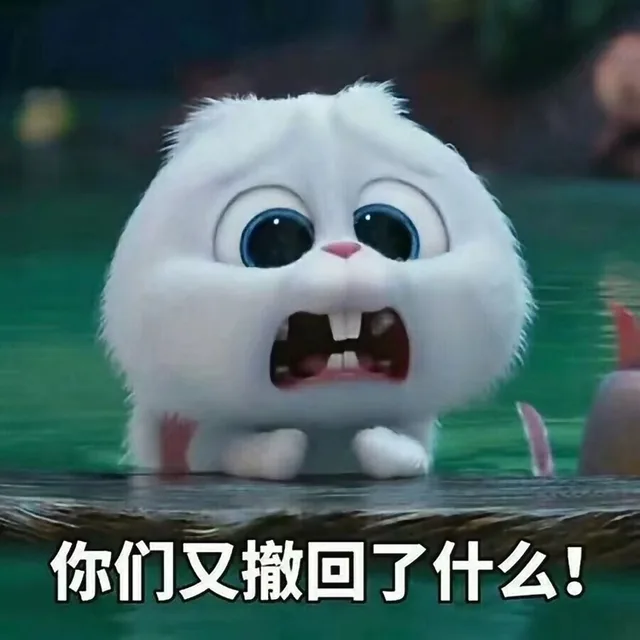 你们又撤回了什么！（你们又撤回了什么！）