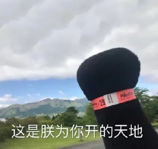 熊本熊大拳头系列_熊本熊_拳头