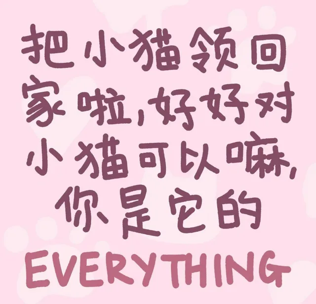把小猫领回家啦好好对小猫可以嘛你是它的EVERYTHING