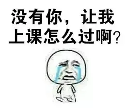 没有你，让我上课怎么过啊？