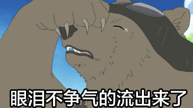 眼泪不争气的流出来了