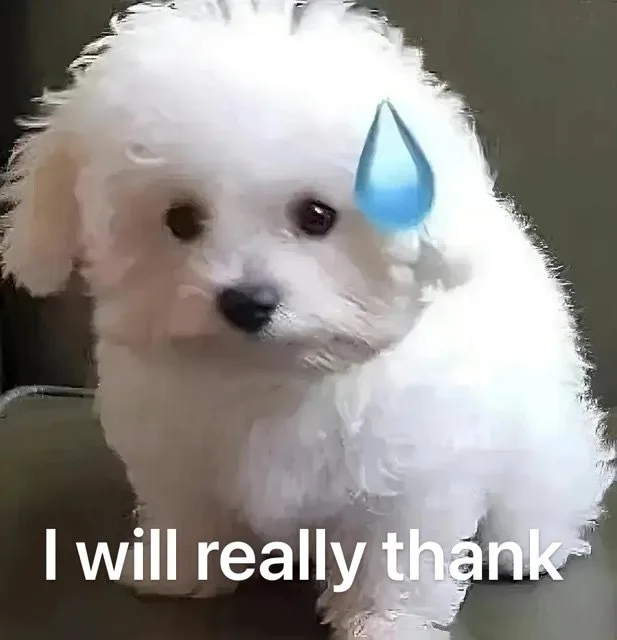 I will really thank(我真的会谢)（I will really thank(我真的会谢)）