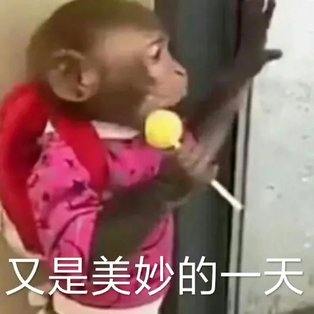 又是美妙的一天（又是美妙的一天）