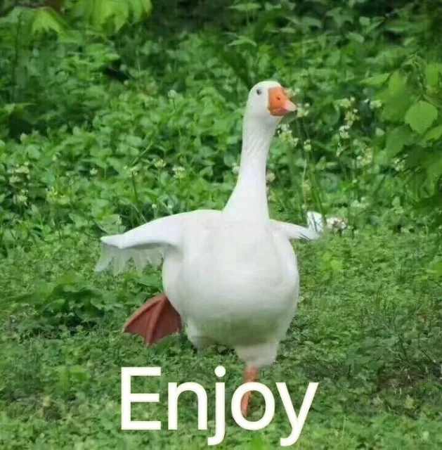 enjoy