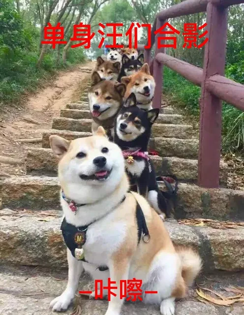 单身汪们合影 -咔嚓-