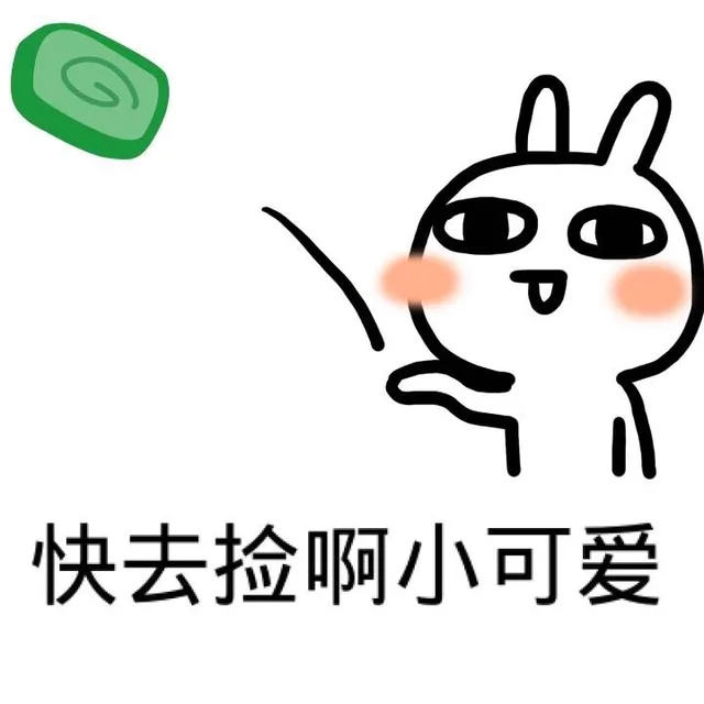 快去捡啊小可爱
