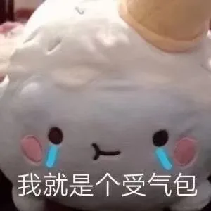 我就是个受气包（我就是个受气包）
