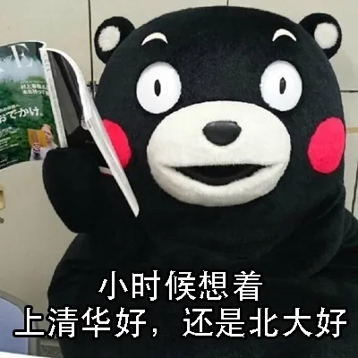 小时候想着，上清华好，还是北大好（小时候想着，上清华好，还是北大好）