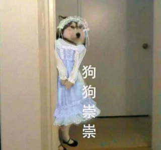 狗狗祟祟换装