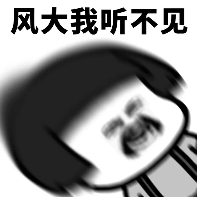 风太大我听不见