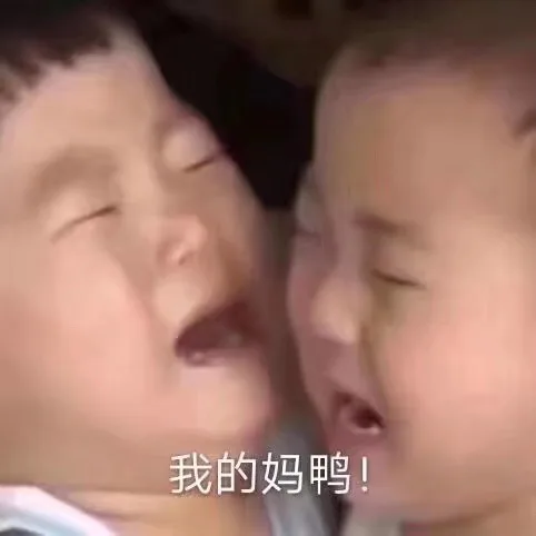我的妈鸭！（宋民国）