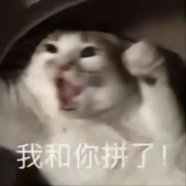 我和你拼了！（我和你拼了！）