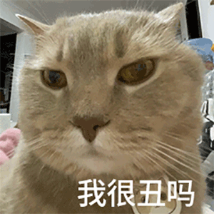 我很丑吗（我很丑吗）