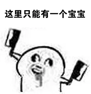 这里只能有一个宝宝（这里只能有一个宝宝）