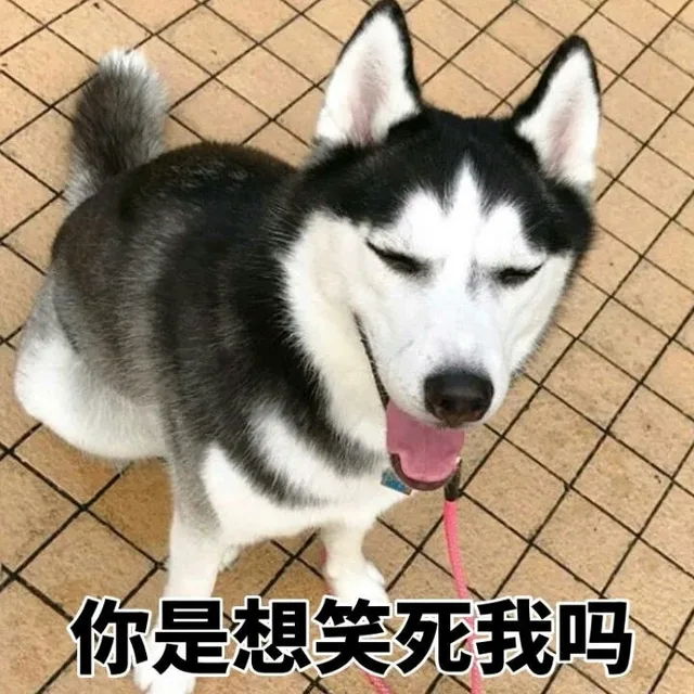 你是想笑死我吗