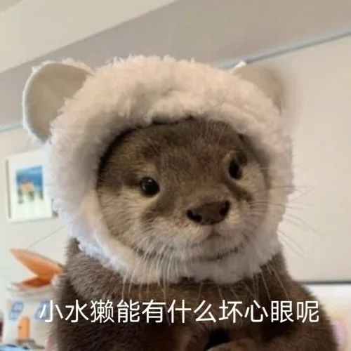 小水獭能有什么坏心眼呢