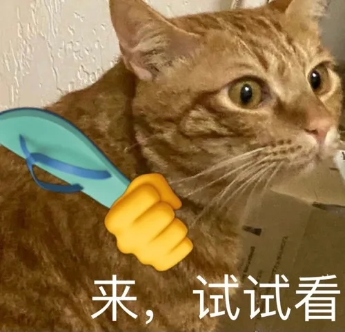 来,试试看（来,试试看）