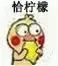 小黄鸡恰柠檬