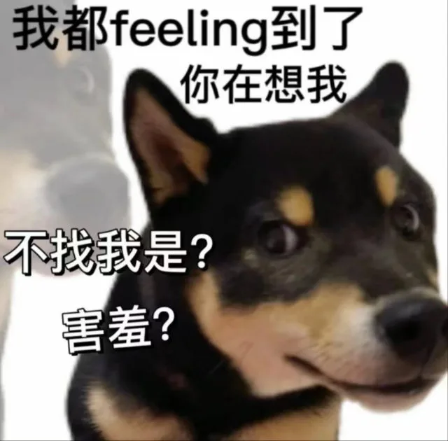 我都feeling到了你在想我不找我是？害羞？（我都feeling到了你在想我不找我是？害羞？）