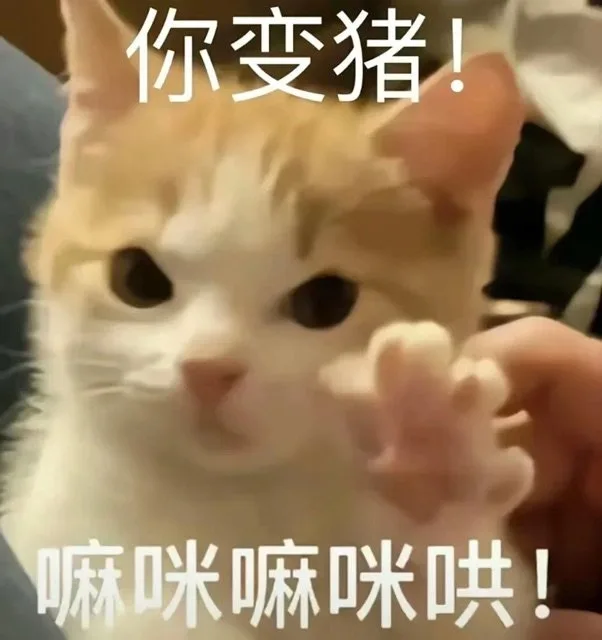 你变猪！嘛咪嘛咪哄！（你变猪！嘛咪嘛咪哄！）