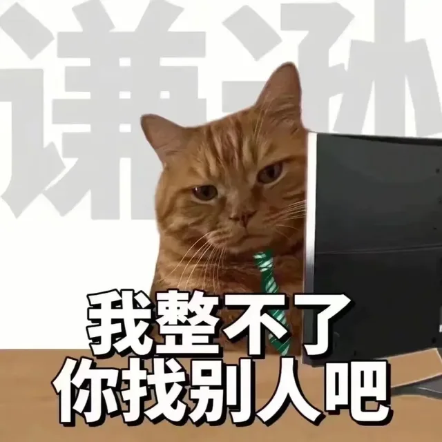 我整不了你找别人吧（我整不了你找别人吧）