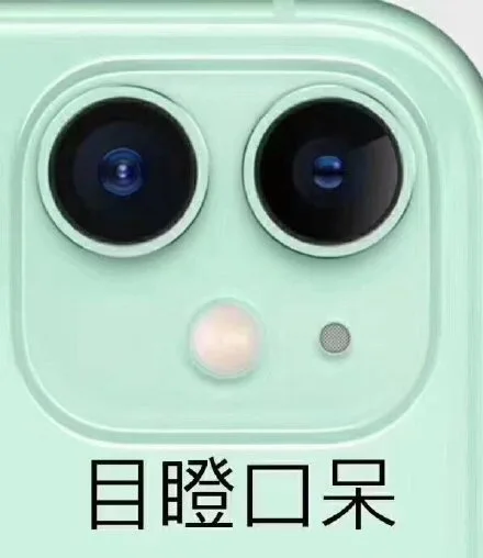目瞪口呆（iPhone11摄像头表情包）